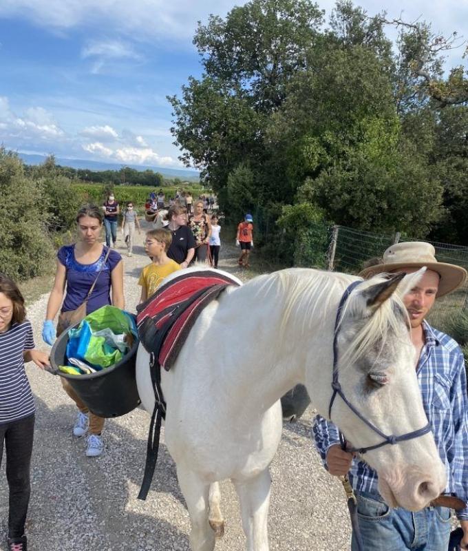 Vaucluse: un paseo pastoral con caballos para limpiar la naturaleza