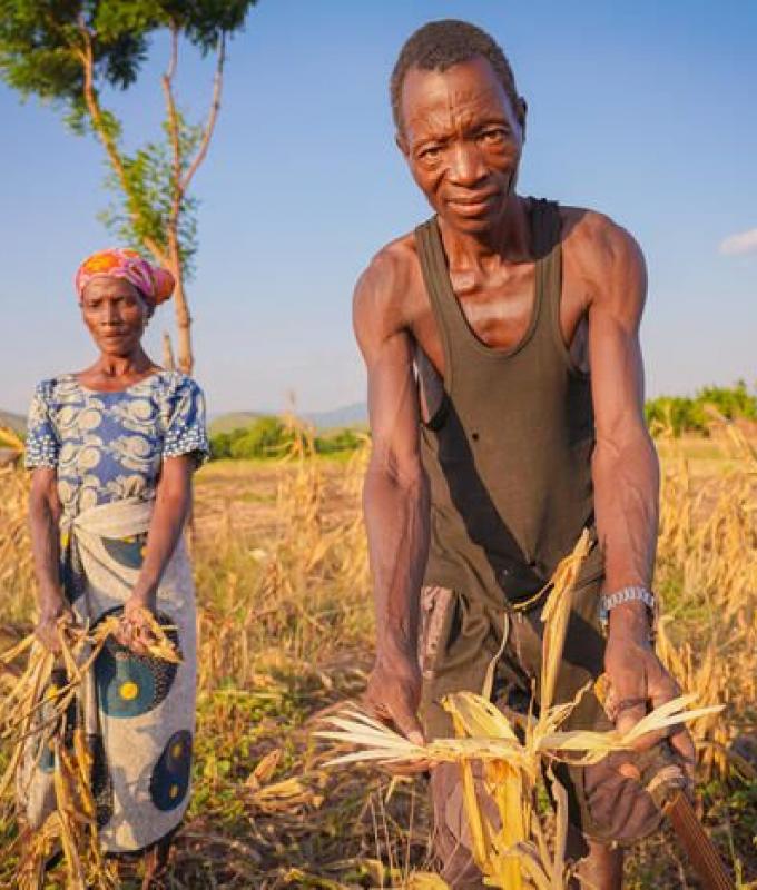 Es fundamental tomar medidas urgentes mientras Malawi se enfrenta a una grave sequía – Malawi