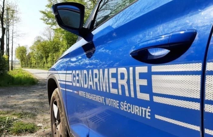 Señales de alto voladas, los peatones evitan por poco en Ille-et-Vilaine: el conductor tenía miedo de la policía