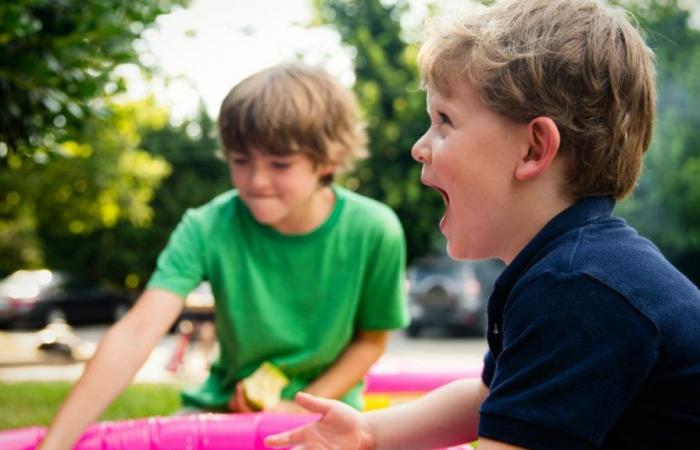 6 actividades imprescindibles para hacer con niños en las Ardenas