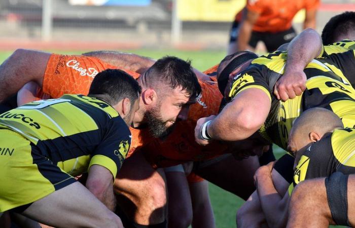 Rugby – Nacional: Niza-Albi decisivo, mano a mano Narbonne-Carcassonne, los carteles de las fases finales por determinar… Los desafíos de la última jornada