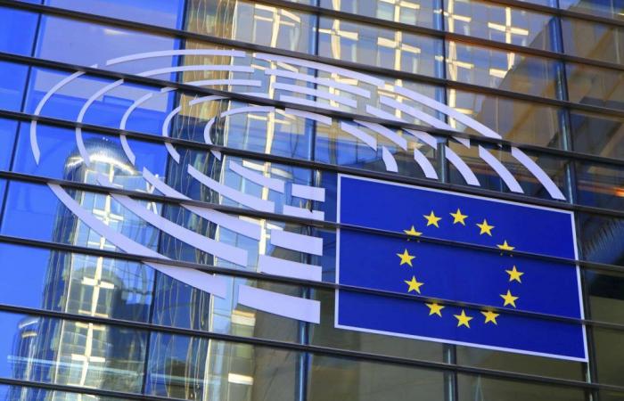 “La directiva europea sobre el deber de vigilancia sacudirá a algunas grandes empresas francesas”