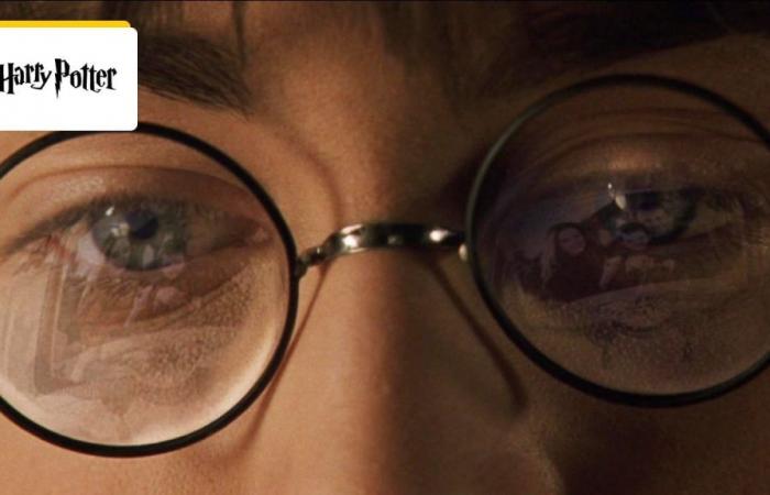 ¿Quién es Kelyan Blanc, la voz francesa de Harry Potter? – Noticias de cine