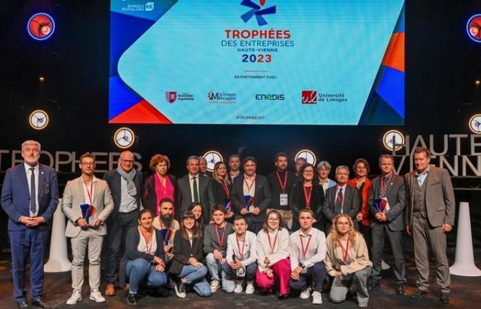 Se lanza la séptima edición de los Trofeos de Empresas en Alto Vienne