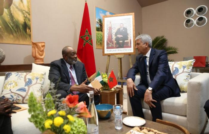 Nigeria desea profundizar las relaciones de cooperación con Marruecos