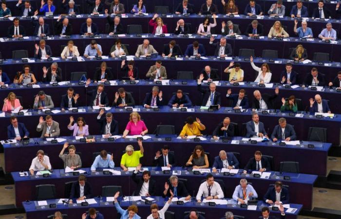 El Parlamento Europeo aprueba la ley que impone un deber de vigilancia a determinadas grandes empresas