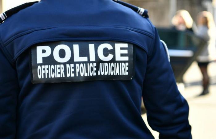 Alto Loira. Tres jóvenes del Ródano arrestadas en Vals-près-le-Puy por robo durante una reunión