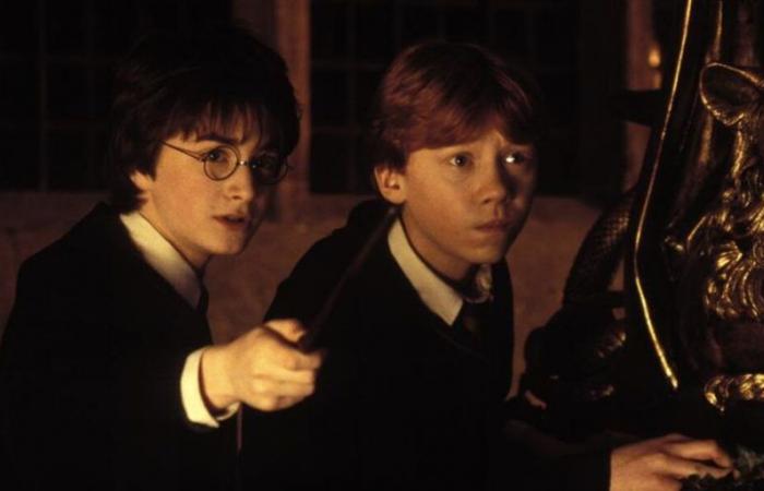 ¿Por qué la escena del bosque en Harry Potter y la cámara secreta fue una auténtica pesadilla para Rupert Grint (Ron Weasley)?