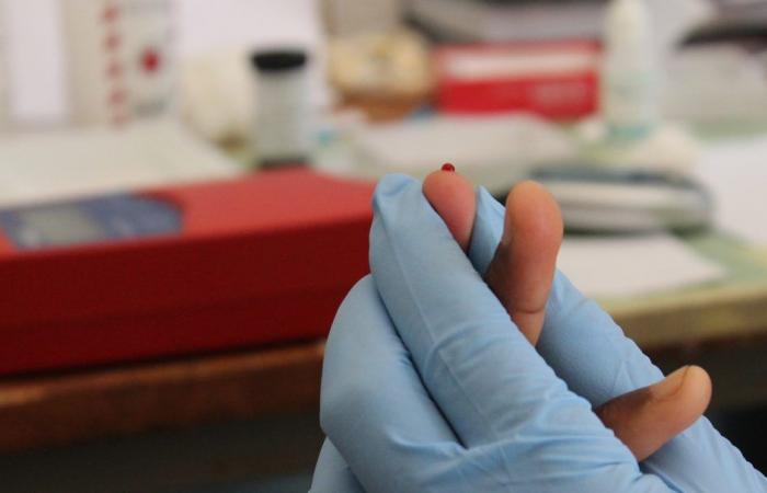 Mimetismo molecular y parasitismo: un premio europeo para apoyar la investigación sobre la malaria