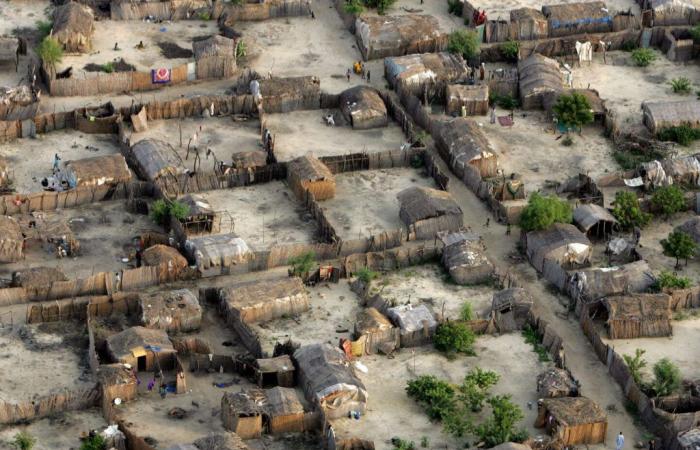 “En África, el calor ya está afectando gravemente al bienestar de las poblaciones y a su supervivencia económica”