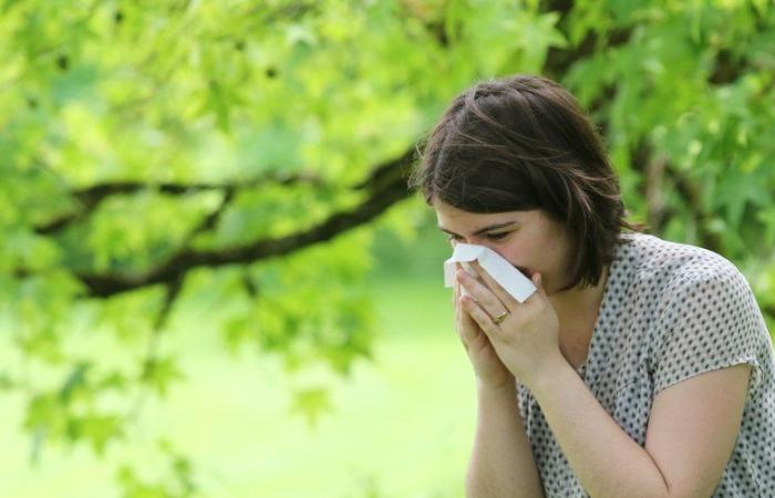 “Las alergias ocurren casi todo el año”: los gersois no escapan al impacto del polen