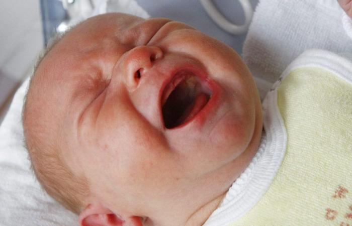 ¿Entender mejor los llantos de los bebés? Ahora es posible gracias a la IA