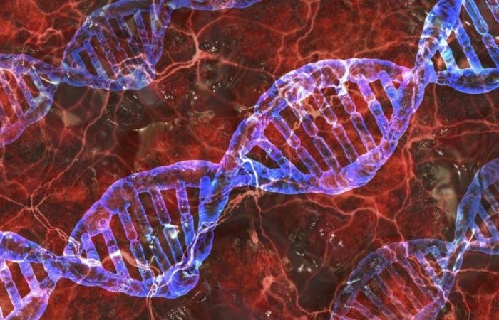 Algunos genes protegen contra el alcohol, pero son de doble filo