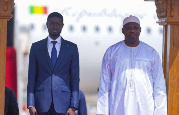 Gambia: la aduana renuncia al aumento de los derechos de aduana sobre el cemento procedente de Senegal