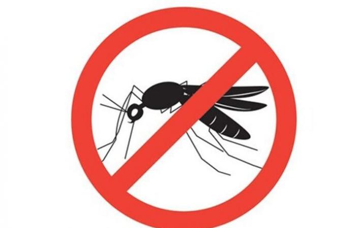 Vietnam elimina la malaria en 46 ciudades y provincias