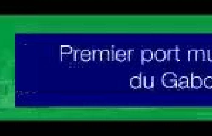 Fútbol: goleador ante el Niza, Aubameyang está a sólo 6 goles de Didier Drogba en la historia del OM | Gabónmediatime.com