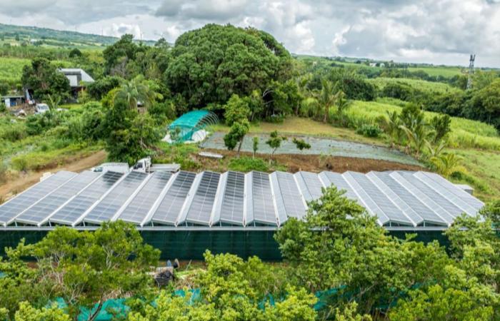 Casas de sombra fotovoltaicas para el cultivo de vainilla en la Isla de la Reunión