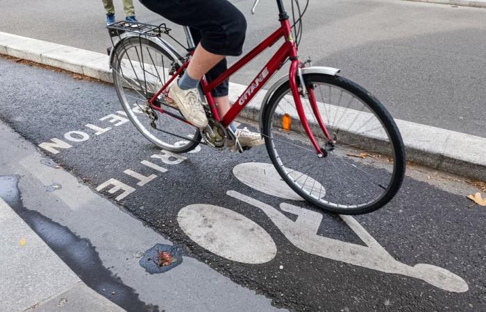 “Ya se han producido dos muertes ciclistas este año y apenas estamos en el inicio del segundo trimestre”