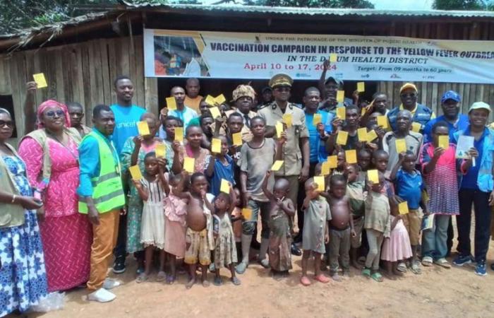 Camerún responde al resurgimiento de la fiebre amarilla
