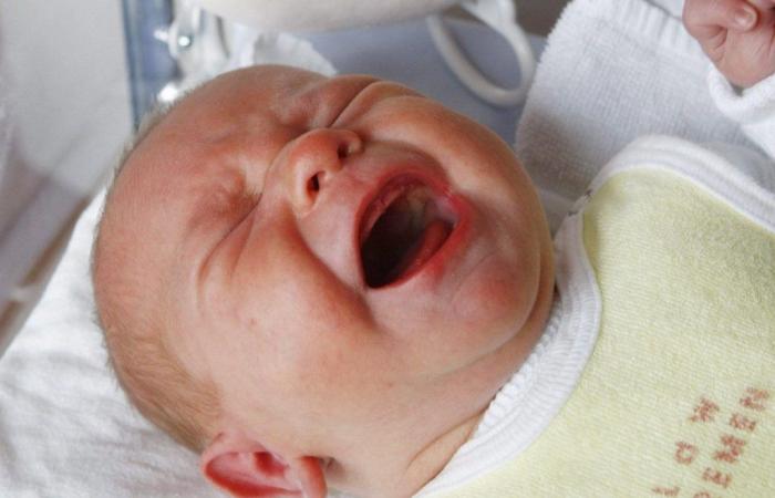 Una aplicación de IA interpreta los llantos del bebé para ayudar a los padres