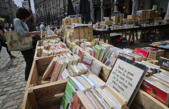 Nueva temática, debates, exposiciones… Lo que hay que saber sobre la Feria del Libro Popular, que vuelve el 1 de mayo en la Grand-Place de Arras