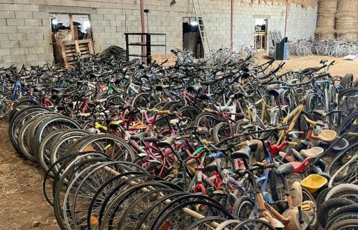 EN FOTOS – Côte-d’Or: el increíble intercambio de bicicletas de Esbarres para ayudar a los jóvenes jugadores de rugby de Nuits-Saint-Georges