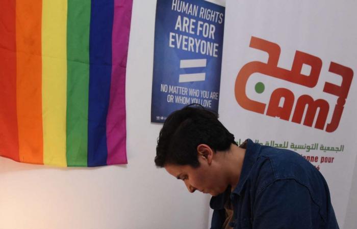 En Túnez, se retiran de la Feria Internacional del Libro folletos sobre la homosexualidad