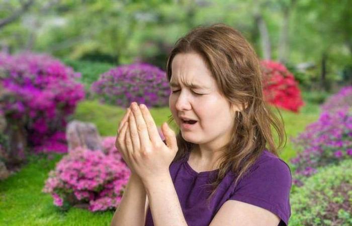 Cuatro sencillos consejos para protegerse de las alergias al polen – Edición nocturna del Oeste de Francia