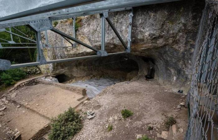 Esta cueva de Drôme, un tesoro para los arqueólogos, debería clasificarse como monumento histórico