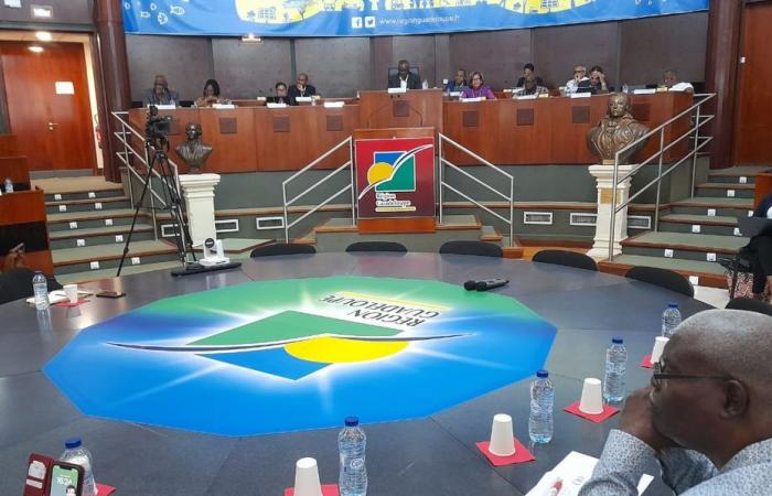 Concesión del mar y del aeropuerto Maryse Condé: las dos mociones adoptadas por unanimidad por los electos regionales