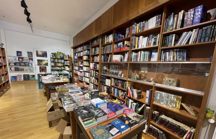 Nuestras 10 mejores librerías independientes en Lille – 26/04/2024