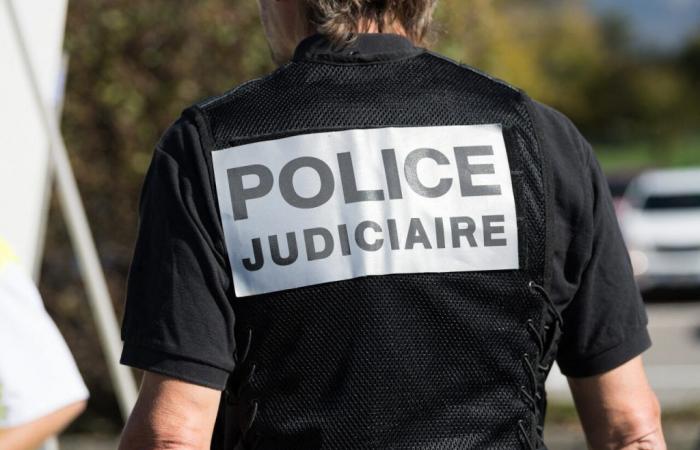 Essonne: apuñala a la ex de su novia y es detenido con un cuchillo de 20 centímetros