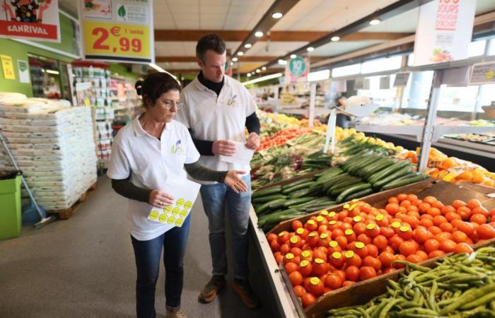 En los supermercados, los productores locales destacan los tomates de Marruecos.