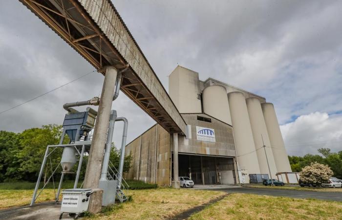 En Tonnay-Charente, un lugar portuario estratégico para el sector de los cereales.