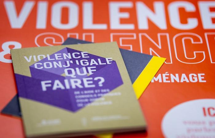 Vaud: la violencia doméstica aumenta ligeramente