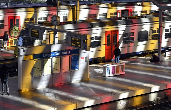 La colorida obra de la estación Liège-Guillemins desaparecerá