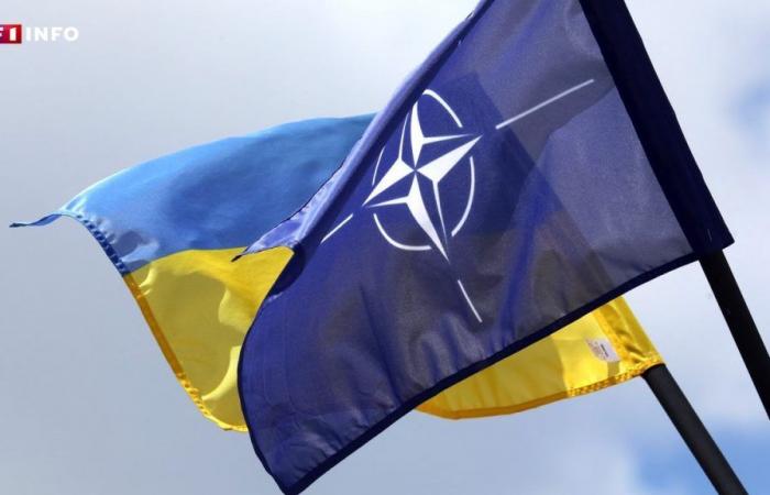 ¿Impondrá la OTAN a Francia nuevos envíos de armas a Ucrania?