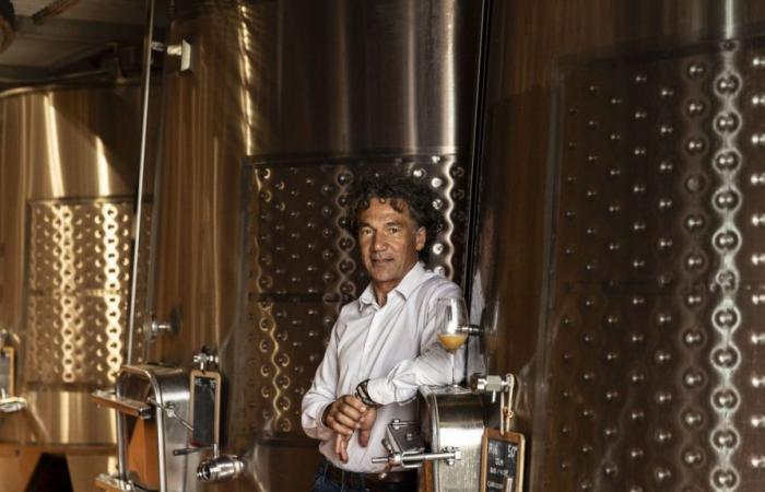 GARD Las casas vinícolas del Languedoc han elegido a su nuevo presidente