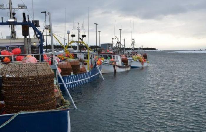 ¿Quién se beneficia más de los aumentos en el precio vendido a los consumidores de productos pesqueros en la Costa Norte?