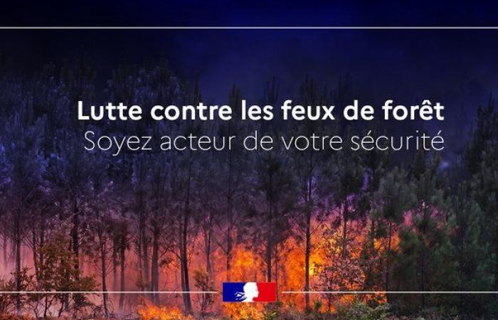 Lucha contra incendios forestales – Incendios forestales – Riesgos naturales – Prevenir riesgos y protegerse – Actuaciones del Estado