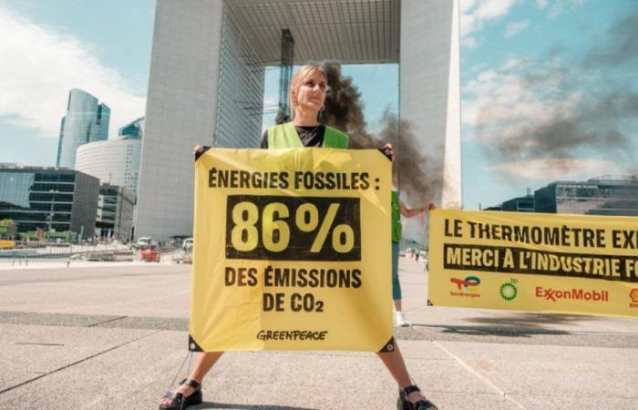 Greenpeace está “reorientando” sus actividades y quiere que “surja…