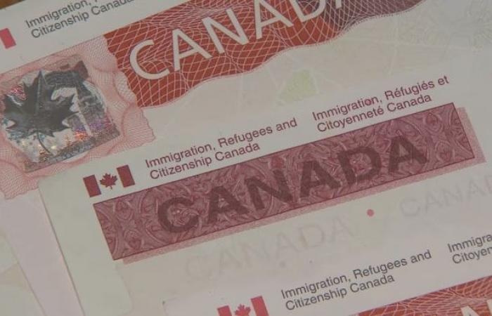 Canadá ocupa el quinto lugar entre los países que reciben más solicitudes de asilo en el mundo | La crisis migratoria