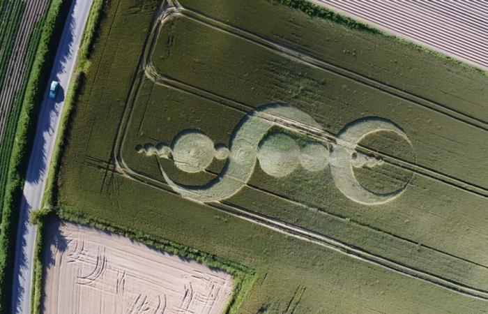 Este círculo de cultivos descubierto en Cotentin atrae a los curiosos y mantiene el misterio