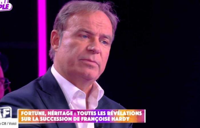 “Por 6 millones de euros en bienes inmuebles”: Fabien Lecoeuvre revela detalles del testamento de Françoise Hardy (ZAP TV)