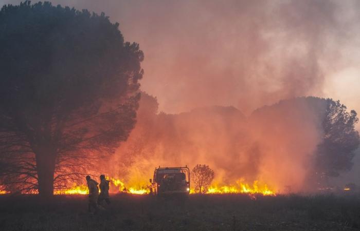 Contratación de bomberos, helicópteros y drones: cómo el departamento más seco de Francia espera luchar contra los incendios forestales