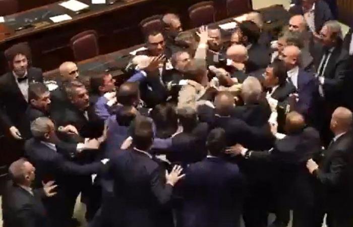 VIDEO. Escena surrealista en Italia: estalla una pelea en el Parlamento entre la extrema derecha y un funcionario electo del M5S