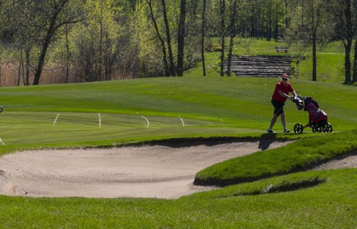 Pronto se prohibirán los pesticidas en los campos de golf de Montreal