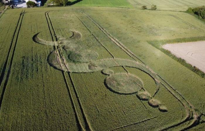 Un granjero encuentra un símbolo misterioso en un campo en el Canal de la Mancha