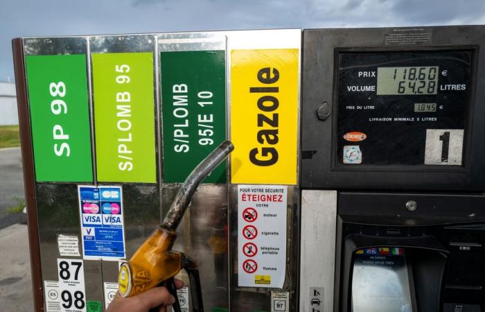 Combustibles: el precio en el surtidor bajará… ¡durante 5 años!