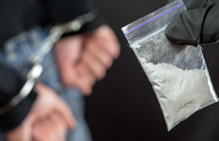Desmantelamiento de una vasta red de importación de cocaína en Europa